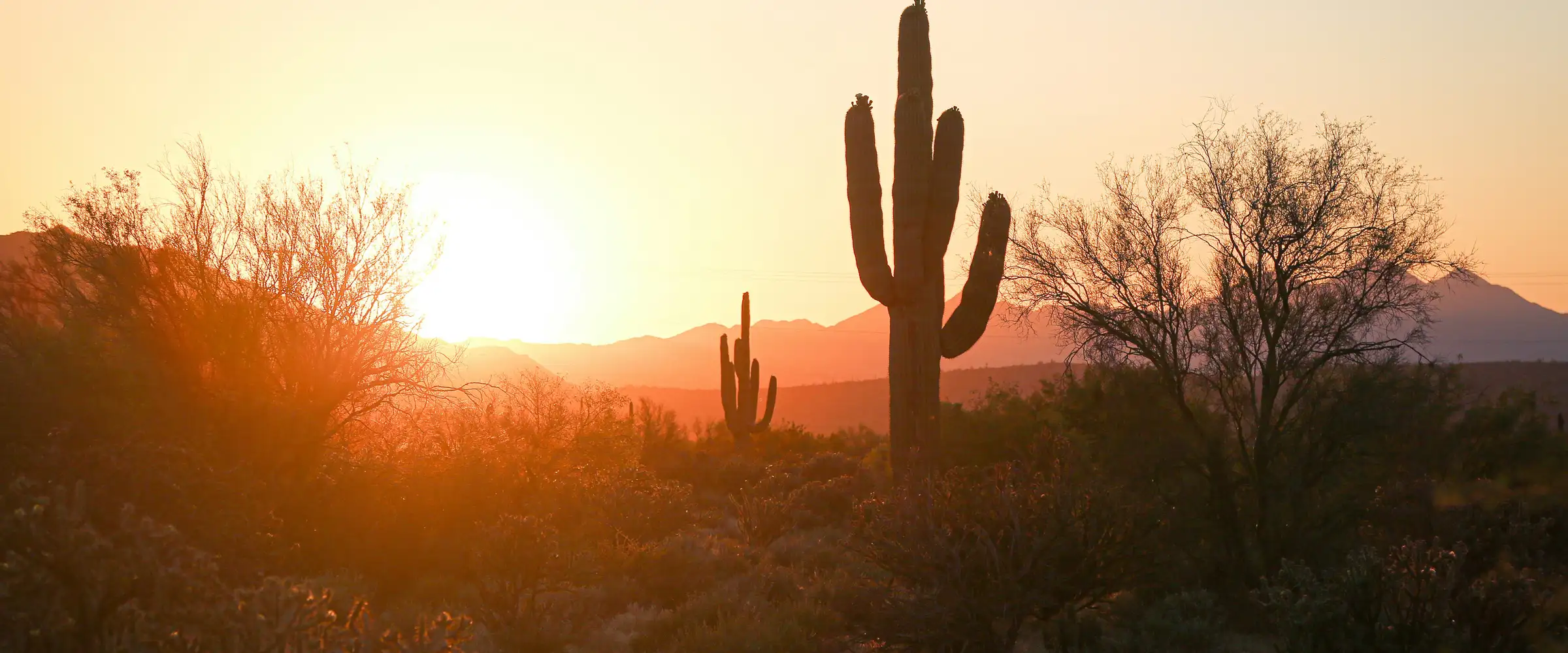Desert sunset near Phoenix, Arizona