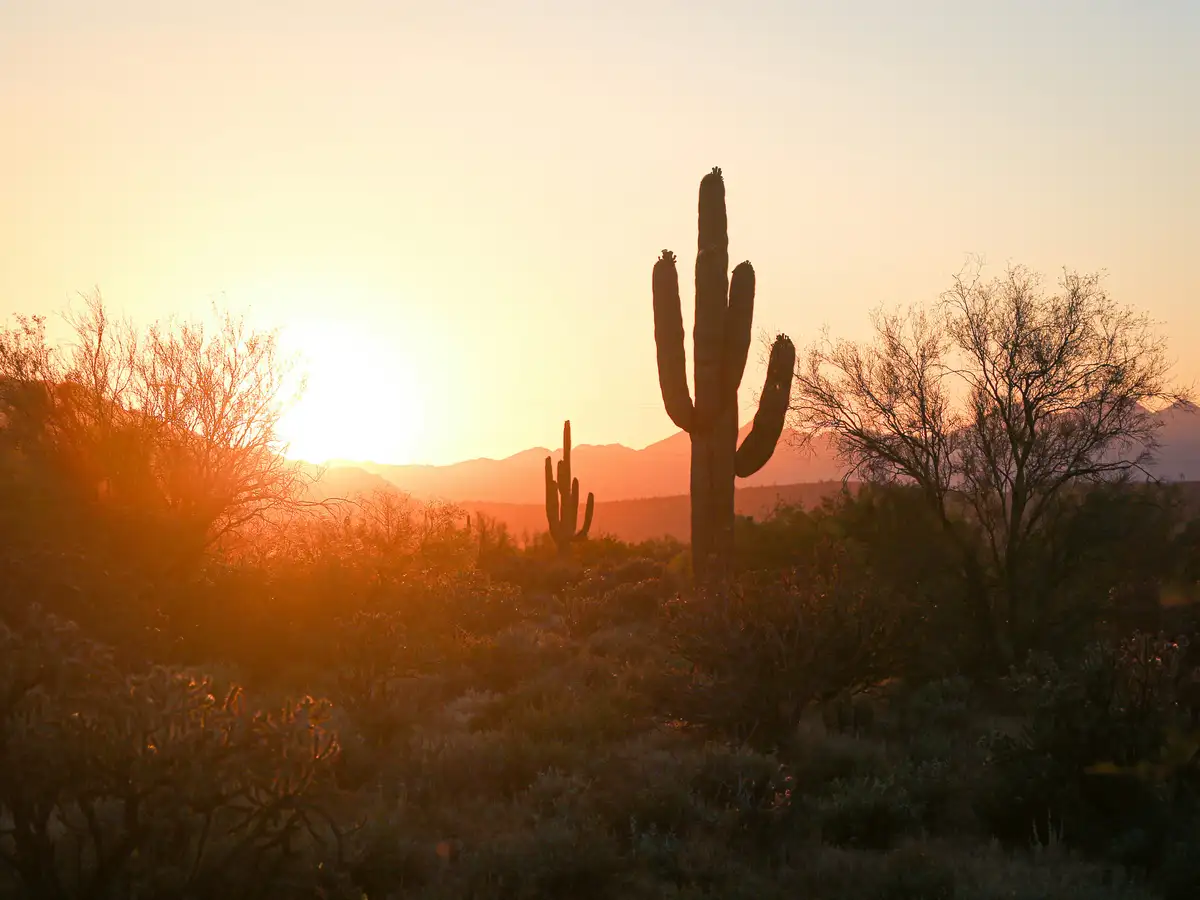 Desert sunset near Phoenix, Arizona