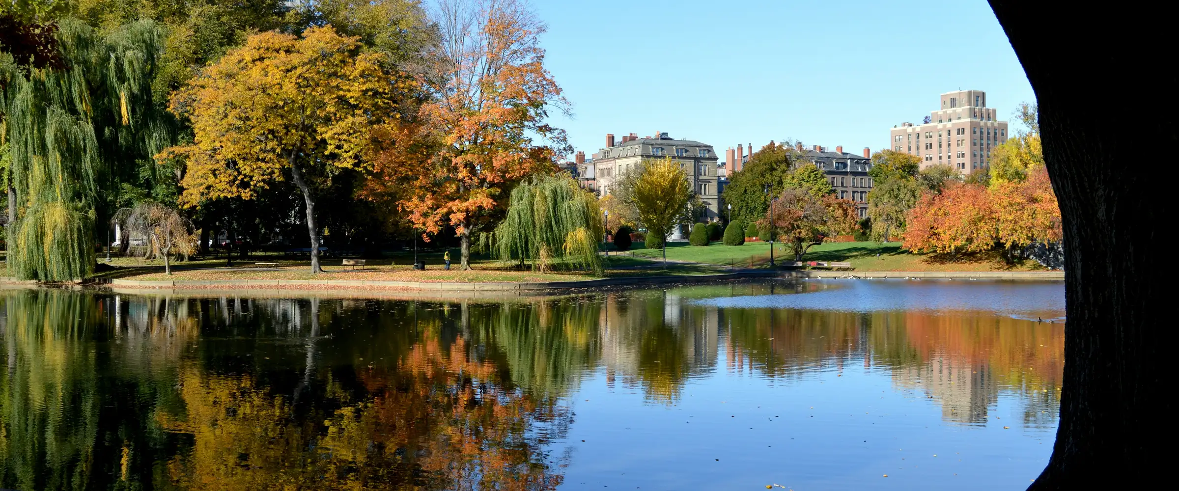 The lagoon in the Boston Public Garden in fall