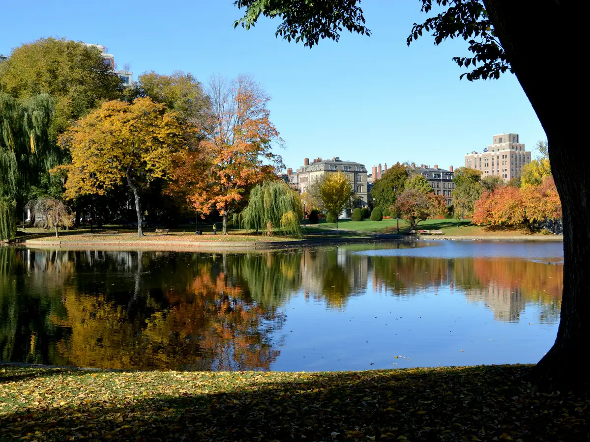 The lagoon in the Boston Public Garden in fall