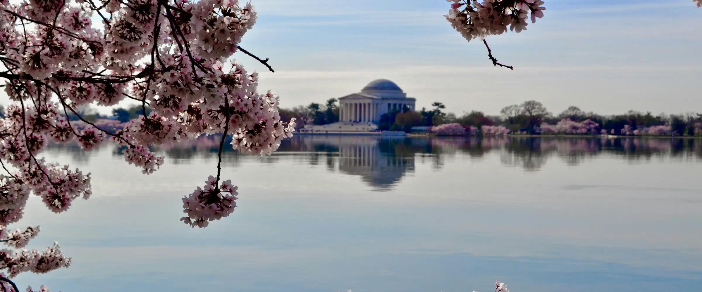 The Jefferson Memorial across the Tidal Basin, framed by cherry blossoms